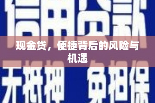 德安现金贷，便捷背后的风险与机遇