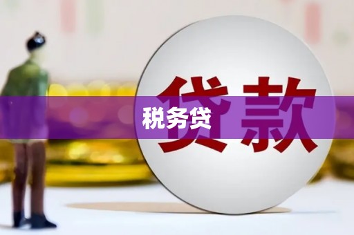 德安税务贷