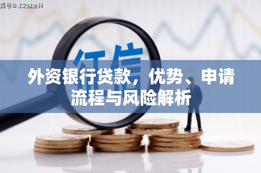 德安外资银行贷款，优势、申请流程与风险解析