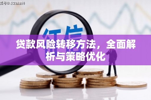 德安贷款风险转移方法，全面解析与策略优化