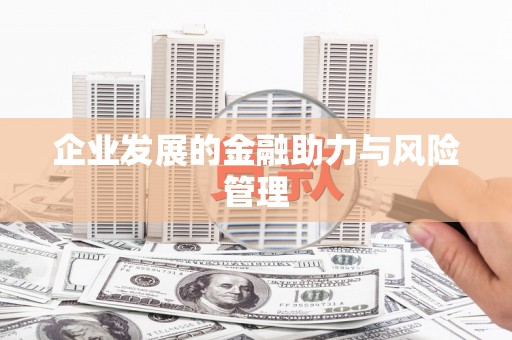德安企业发展的金融助力与风险管理