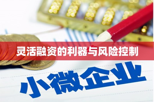 德安灵活融资的利器与风险控制