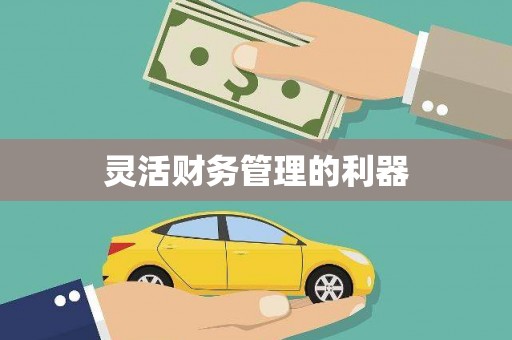 德安灵活财务管理的利器