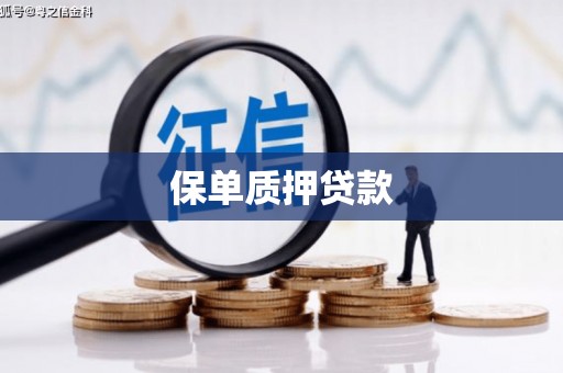 德安保单质押贷款