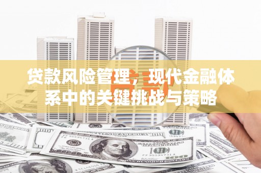 德安贷款风险管理，现代金融体系中的关键挑战与策略