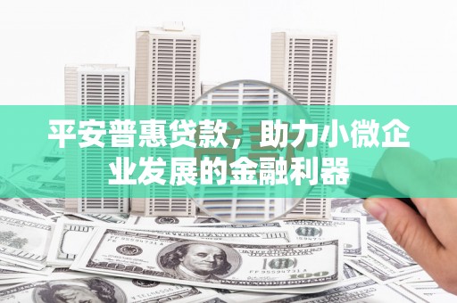 德安平安普惠贷款，助力小微企业发展的金融利器