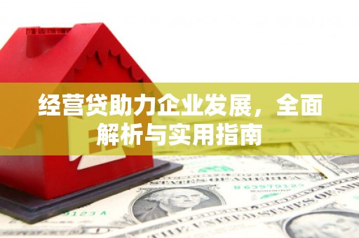 德安经营贷助力企业发展，全面解析与实用指南