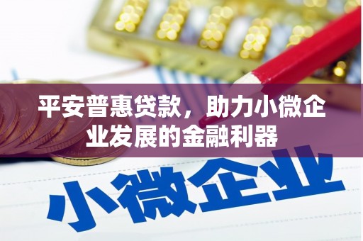 德安平安普惠贷款，助力小微企业发展的金融利器