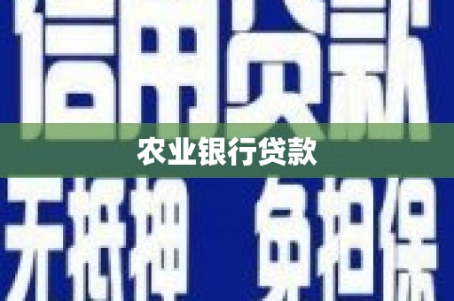 德安农业银行贷款