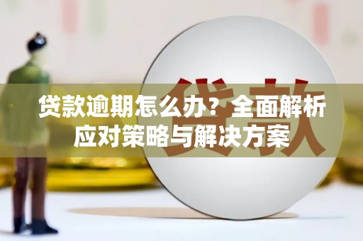 德安贷款逾期怎么办？全面解析应对策略与解决方案