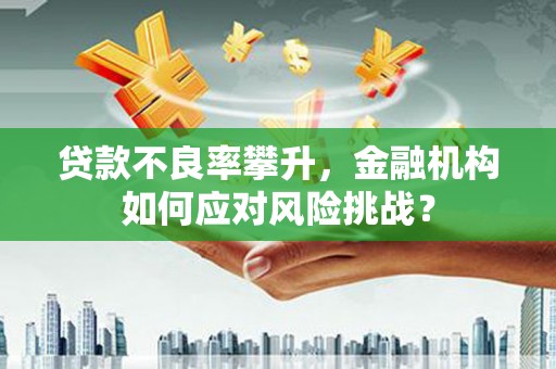 德安贷款不良率攀升，金融机构如何应对风险挑战？