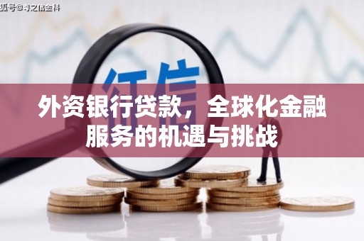 德安外资银行贷款，全球化金融服务的机遇与挑战