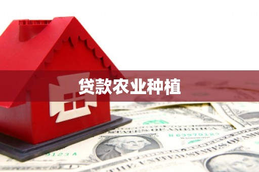 德安贷款农业种植
