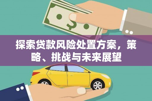 德安探索贷款风险处置方案，策略、挑战与未来展望