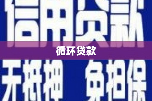 德安循环贷款