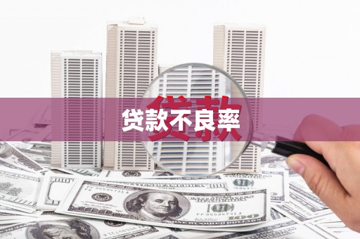 德安贷款不良率