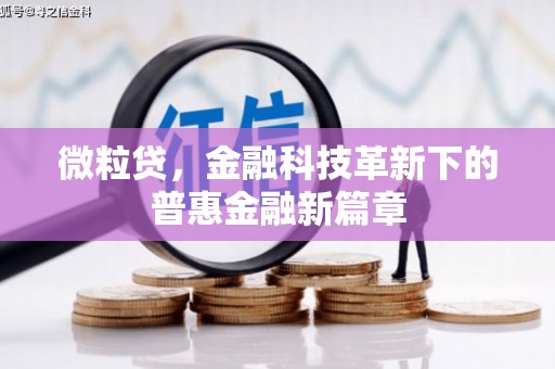 德安微粒贷，金融科技革新下的普惠金融新篇章