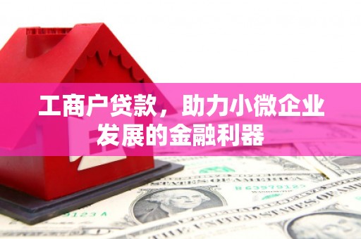 德安工商户贷款，助力小微企业发展的金融利器