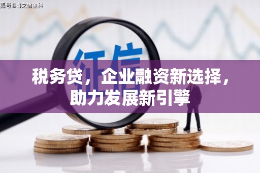 德安税务贷，企业融资新选择，助力发展新引擎