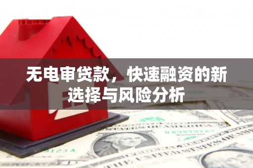 德安无电审贷款，快速融资的新选择与风险分析