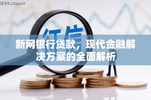 德安新网银行贷款，现代金融解决方案的全面解析