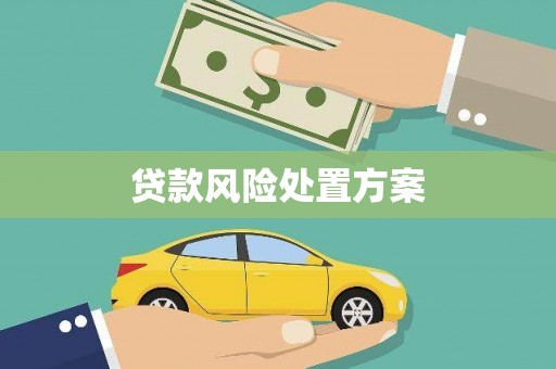 德安贷款风险处置方案