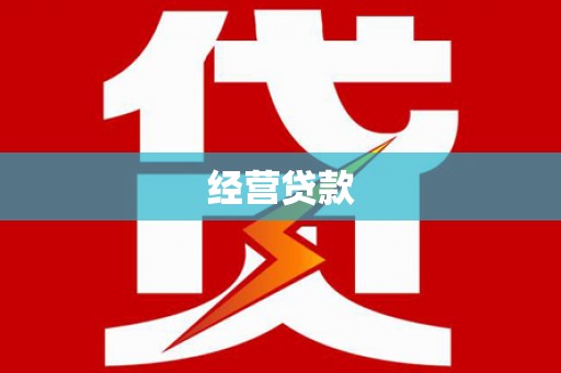 德安经营贷款