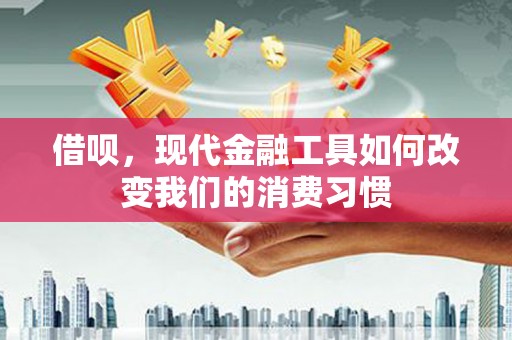 德安借呗，现代金融工具如何改变我们的消费习惯