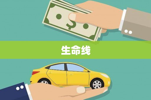 德安生命线