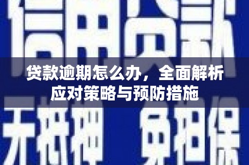 德安贷款逾期怎么办，全面解析应对策略与预防措施