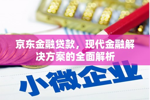 德安京东金融贷款，现代金融解决方案的全面解析