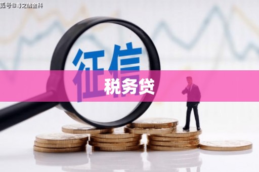 德安税务贷