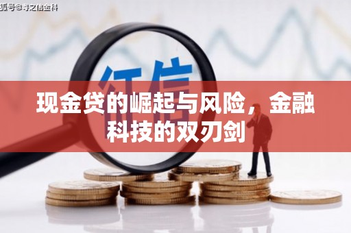 德安现金贷的崛起与风险，金融科技的双刃剑