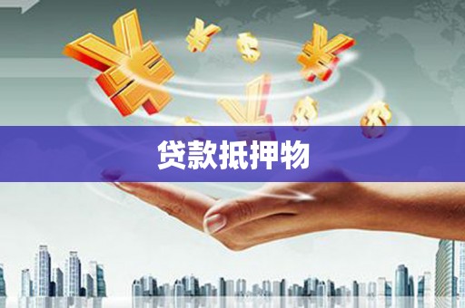 德安贷款抵押物