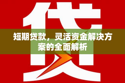 德安短期贷款，灵活资金解决方案的全面解析