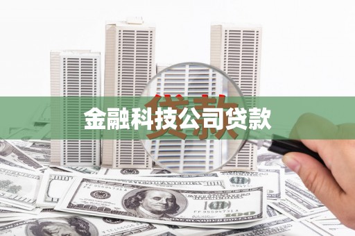 德安金融科技公司贷款