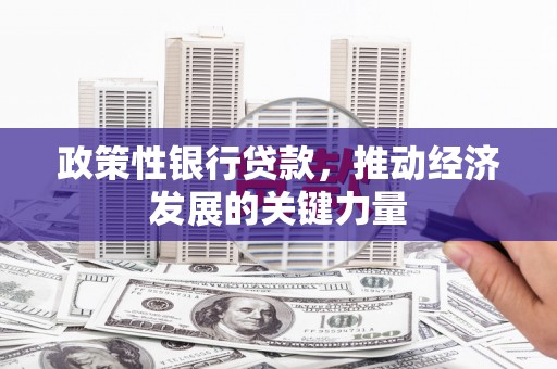 德安政策性银行贷款，推动经济发展的关键力量