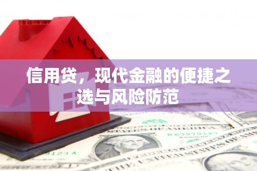德安信用贷，现代金融的便捷之选与风险防范