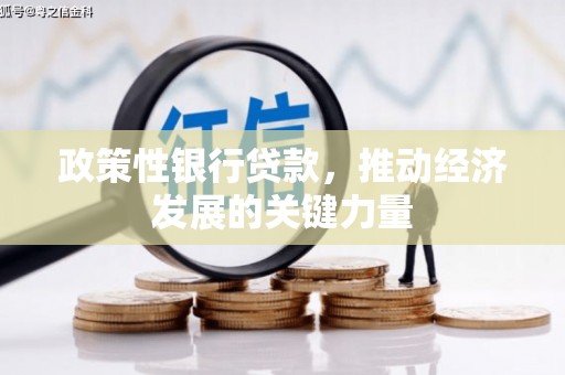 德安政策性银行贷款，推动经济发展的关键力量