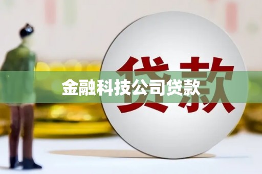 德安金融科技公司贷款