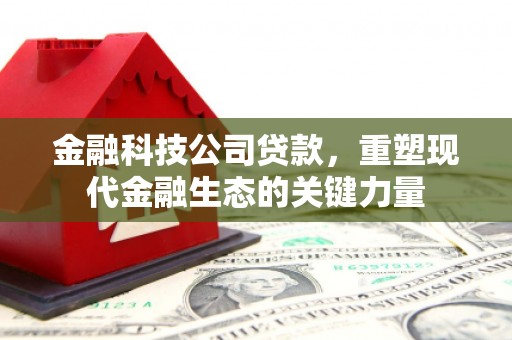德安金融科技公司贷款，重塑现代金融生态的关键力量