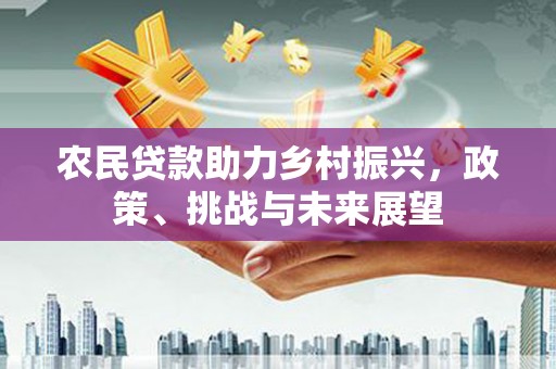 德安农民贷款助力乡村振兴，政策、挑战与未来展望