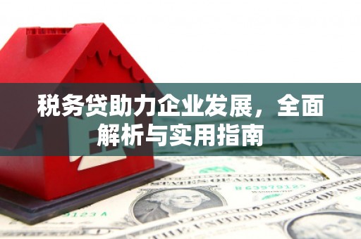 德安税务贷助力企业发展，全面解析与实用指南