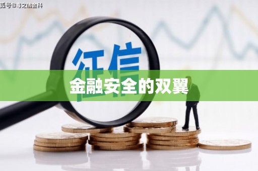 德安金融安全的双翼