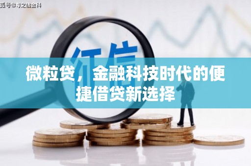 德安微粒贷，金融科技时代的便捷借贷新选择
