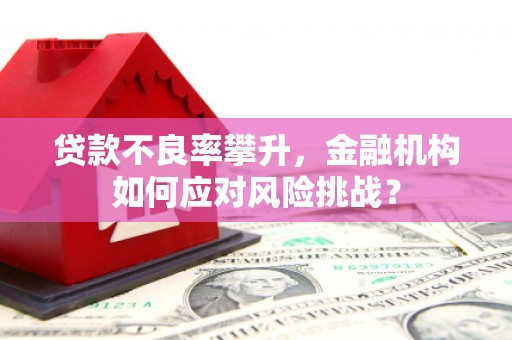 德安贷款不良率攀升，金融机构如何应对风险挑战？