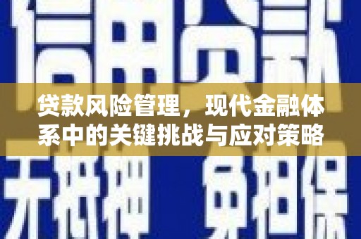 德安贷款风险管理，现代金融体系中的关键挑战与应对策略
