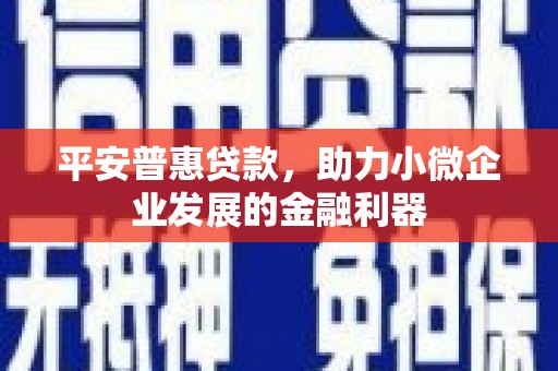 德安平安普惠贷款，助力小微企业发展的金融利器
