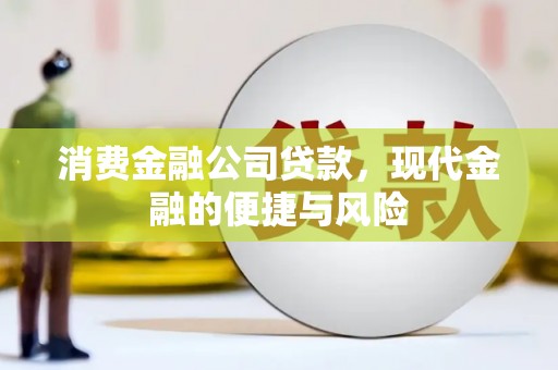 德安消费金融公司贷款，现代金融的便捷与风险