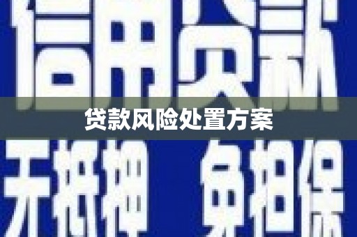 德安贷款风险处置方案